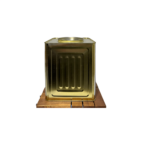 10 KG Zeytin Tenekesi Gold